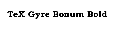 Police TeX Gyre Bonum Bold