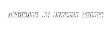 Police Avondale SC Outline Italic